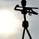 Illustration for article titled Shooting Challenge Silhouettes Gallery 1